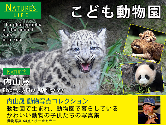 心あたたまる写真集 動物園で暮らすこども動物やおやこ動物の写真集が発売 It Rtジャーナリスト神崎洋治の公式ブログ 進め インターネットマン