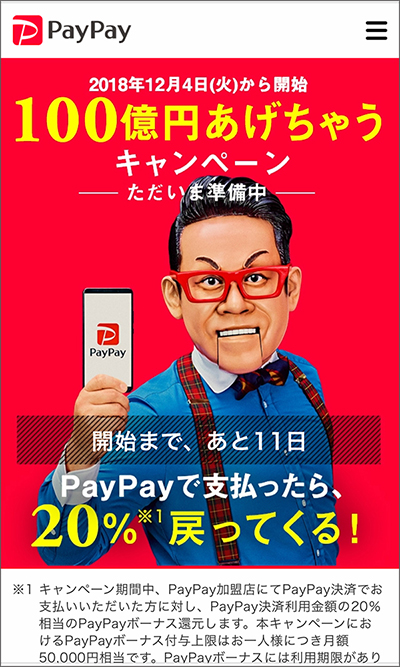 paypay-03